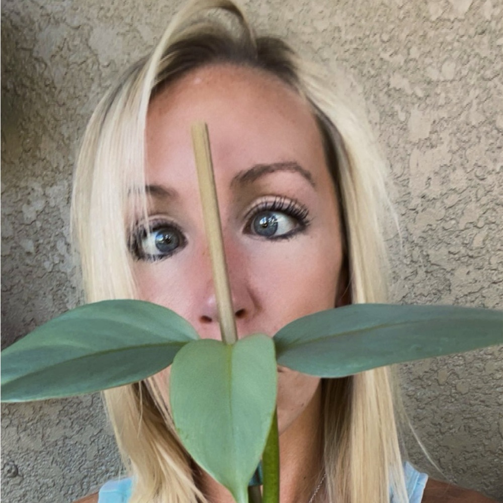 Meet your Posher, Alissa